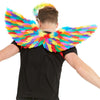 Buy Rainbow Feather Wings